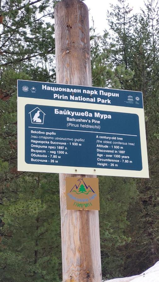 Free Spa В Св. Иван Рилски - Сладък Дом Сред Лукс 班斯科 外观 照片